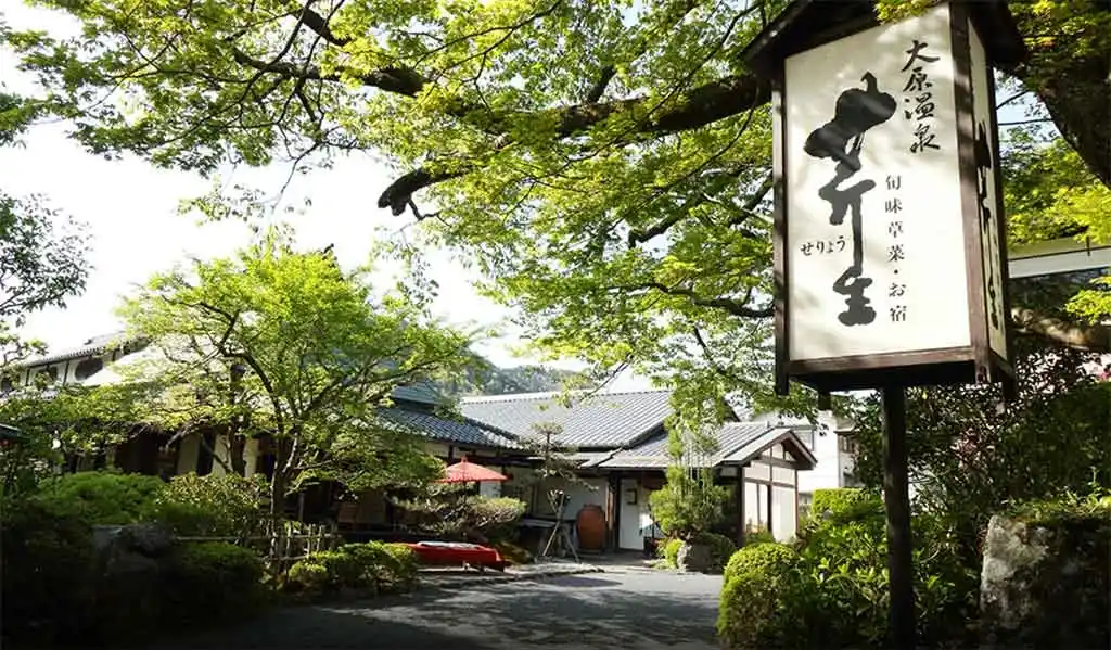 芹生の外観